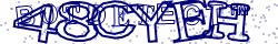 Retype the CAPTCHA code from the image